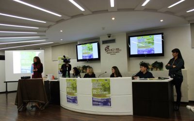 Seminario “Dialogo sul lavoro in Calabria”: servizio TG3